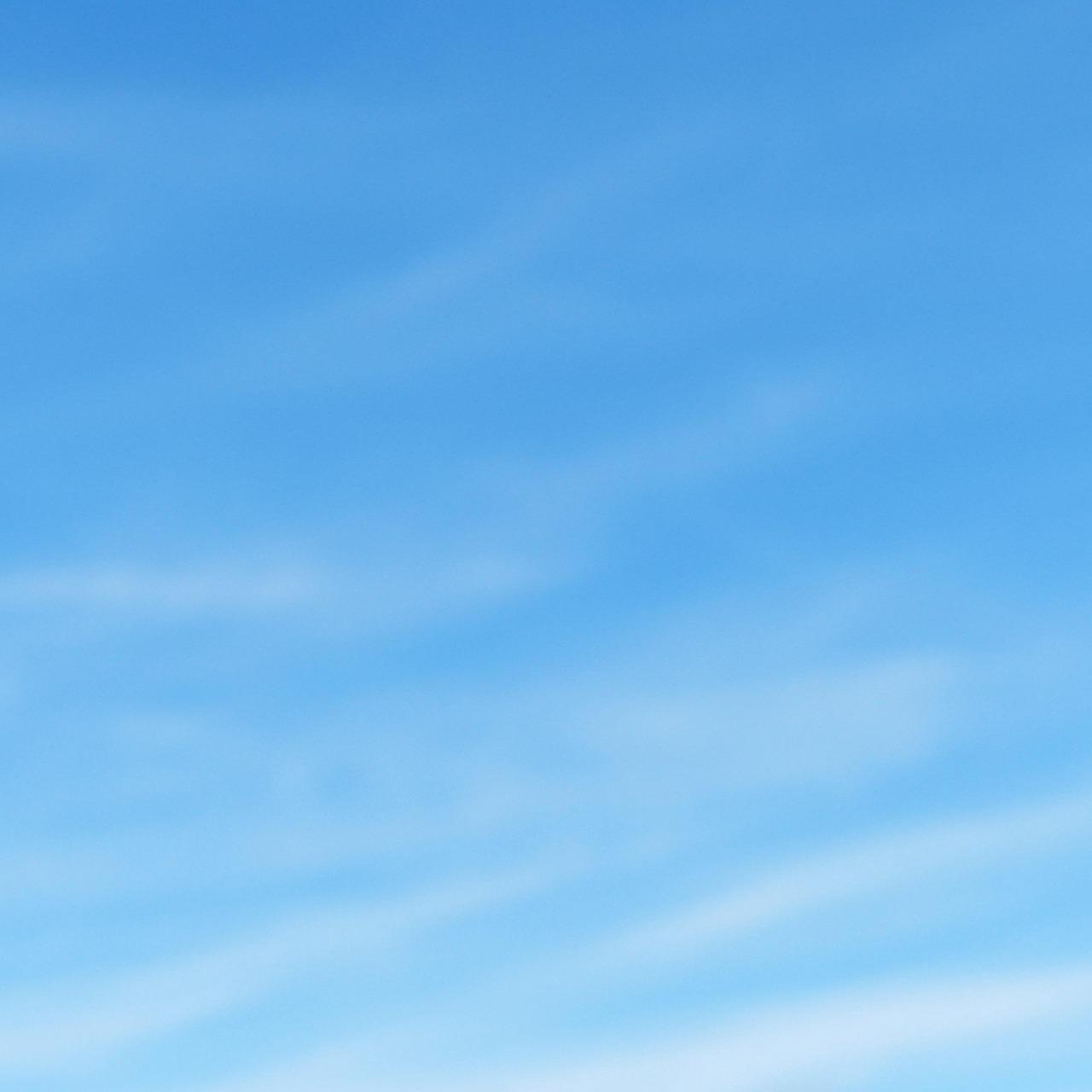 ree